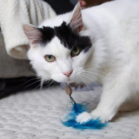 Coastal Turbo Telescoping Wand with LED Pointer Cat Toy